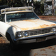 Illustration for article titled 1967 Chevrolet Chevelle Malibu, Plus Bonus Evil Chevy Poll
